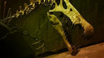 Video Bigger Than T Rex Pre Watch Nova Online Pbs
