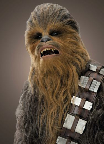 Chewbacca Wookieepedia Fandom