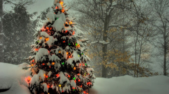 Beautiful Christmas Tree Wallpaper Outdoor
