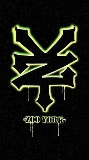 Zoo York Skate