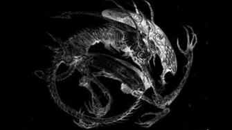 Xenomorph Aliens Alien Movie Wallpaper HD Desktop