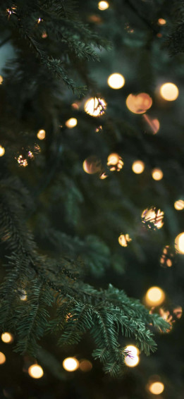 Capture The Festive Spirit With This Beautiful Christmas