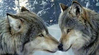 Category Nature HD Wallpaper Subcategory Winter