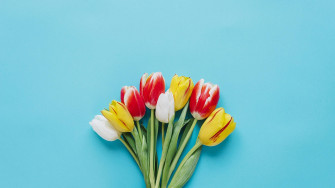 Beautiful Minimalist Flower Art On Computer Screen Wallpaper