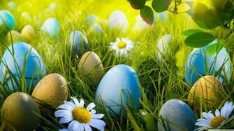 Easter Egg Hunt 4k HD Desktop Wallpaper For Ultra Tv