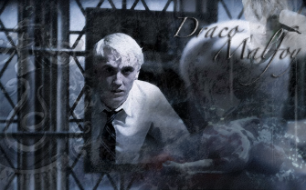 Draco Malfoy Wallpaper By