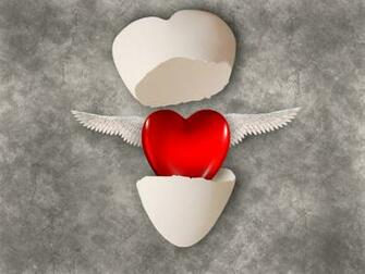 Wallpaper A New Born Love