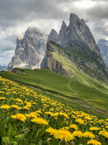 Spring Landscape Pictures Image