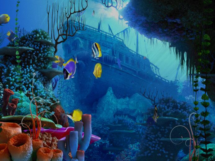 Coral Reef Screensaver