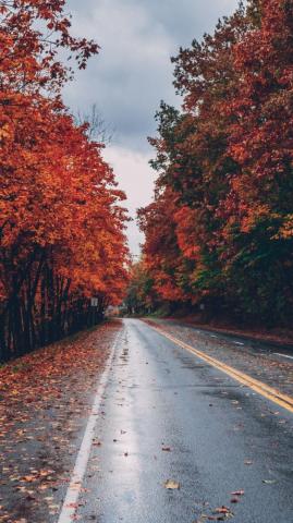 Fall Wallpaper Top Best Background
