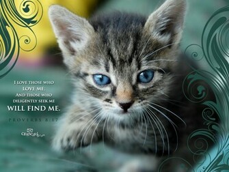 Proverbs Desktop Wallpaper Scripture Verses Background