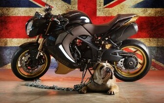 Triumph Speed Three Bulldog Custom Edition Motorcycle Wallpaper