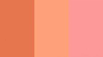 Red Ochre Light Salmon And Pink Three Color Background