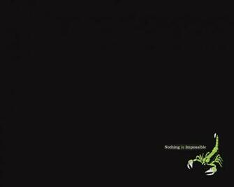 Scorpio Wallpaper Desktop Background