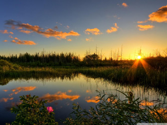 Outside Wallpaper On