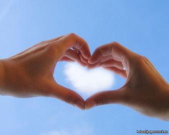 Heart Shaped Hands Wallpaper
