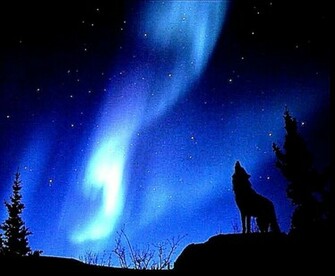 Wolves Howling At The Moon Evening Howl Wallpaper