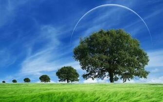 Nature Wallpaper Best Desktop HD