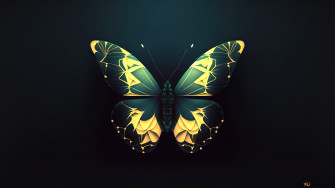 Butterfly Insect Wallpaper