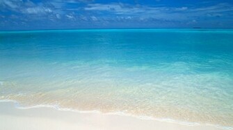 Wallpaper HD Background Desktop