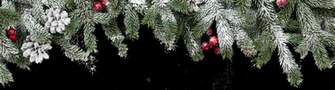 Christmas Background Transparent Danish Crown Foodservice