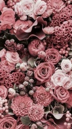 Valentines Day Quotes Prachtige Roze Rozen Voor Op Een Uitvaart