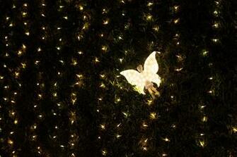 Angel Garland Light Backlight Dark Decoration Stock Photos