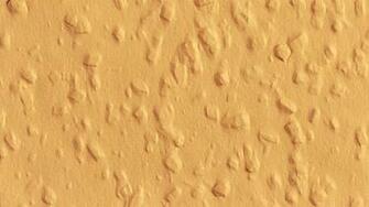 Woodchip Wallpaper Brillux
