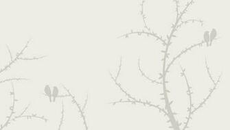 Birds On Branch Vector Graphic Wallpaper Talk