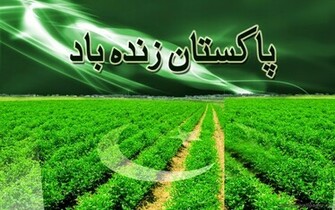 Pakistan Flag Wallpaper HD