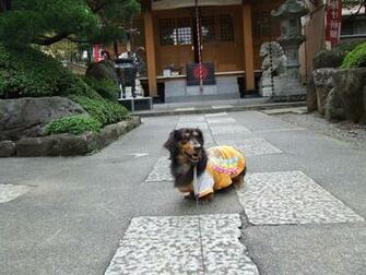 Walking With Lee Genkaku Ji Temple Konnyaku Enma