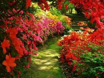 Flower Garden Background