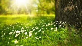 Spring Screen Wallpaper