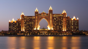 The Palm 1080p 2k 4k Full HD Wallpaper Background