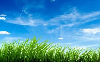 Blue Sky Green Grass Wallpaper HD