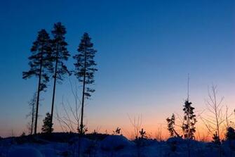 Sunset Winter Wallpaper