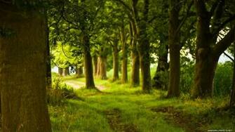Screen Spring Beach Nature Wallpaper HD