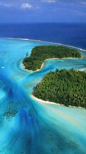 French Moorea Beach Forest iPhone Wallpaper