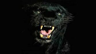 Live Wallpaper HD Animals Puma For Android Appszoom
