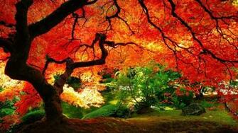 Desktop Wallpaper Full Of Fall Colors And
