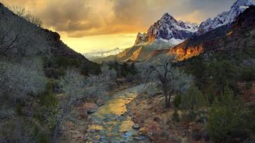 Park In Utah Wallpaper Zion National