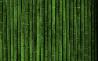 Bamboo Desktop Pc And Mac Wallpaper