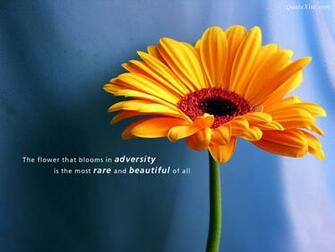 Best Wallpaper Desktop Pc
