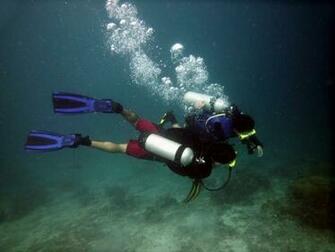 Diving Picture Hilutungan Island Nalusuan