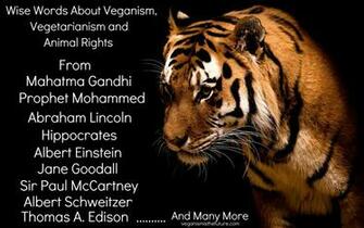 Famous Quotes About Animal Sualci