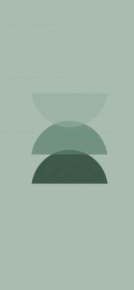 Sage Green Aesthetic Wallpaper