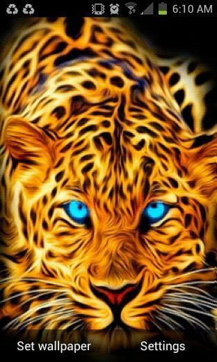 Blue Eyes Tiger Live Wallpaper Android