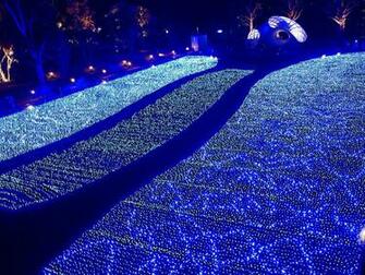 Xmas Light Wallpaper