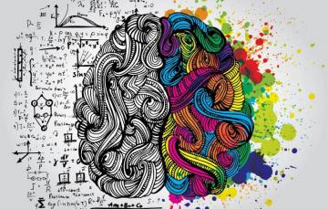 Brain Wallpaper Top Background