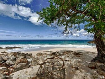 Tropical Beach Wallpaper Welcome To Paradise